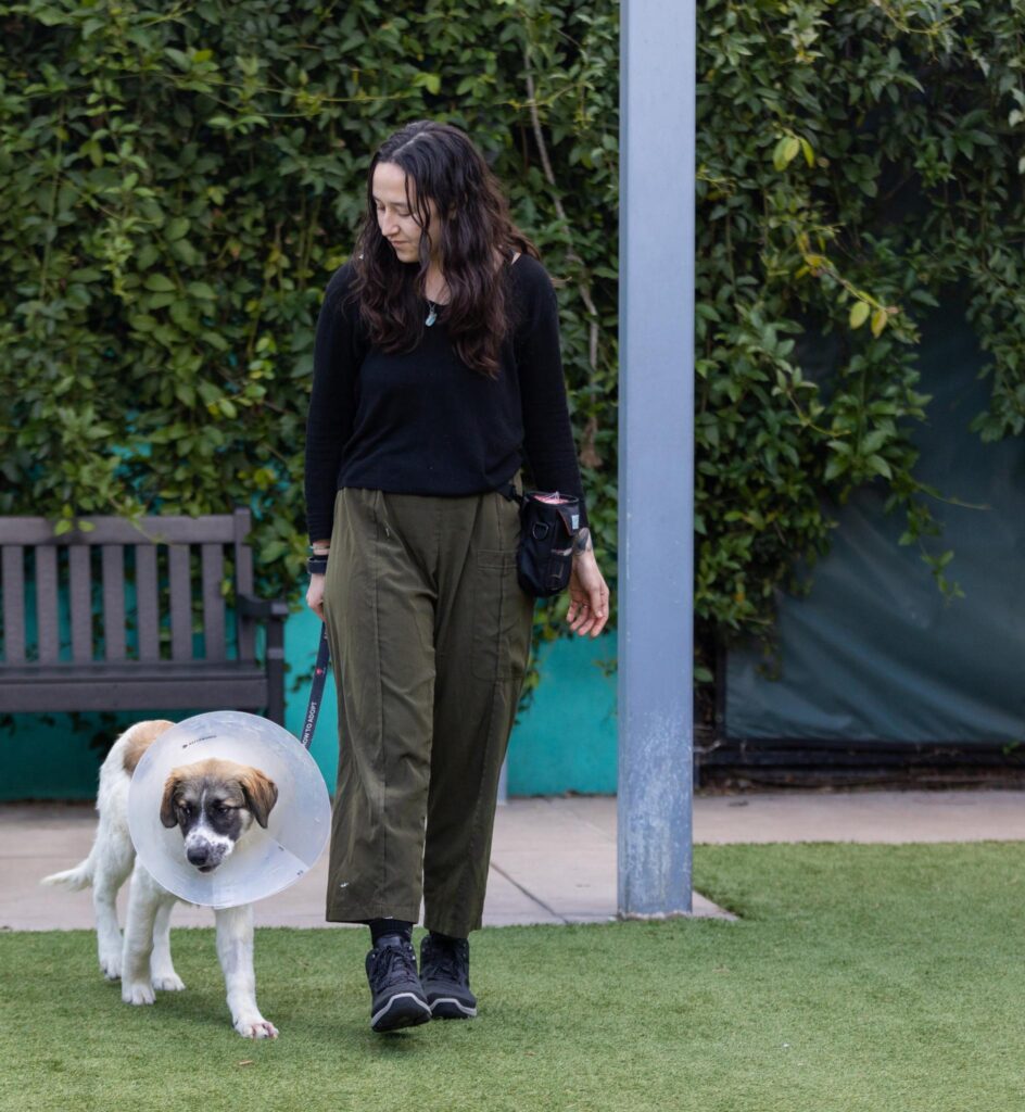 BD5CF0D9-A8F2-4264-BB2B-42AB3E146D0F